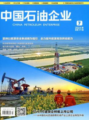 中国石油企业期刊