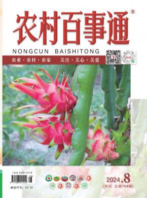 农村百事通期刊